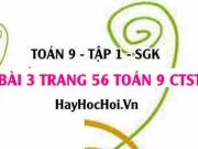 Bài 3 trang 56 Toán 9 tập 1 Chân trời sáng tạo